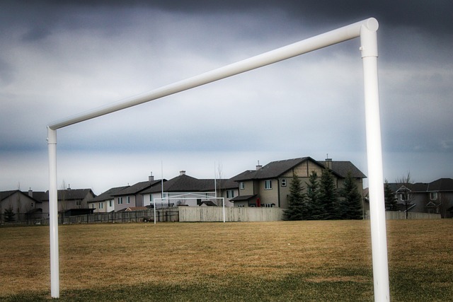 实力补充的 实力补充的