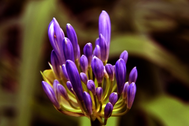 中蕴含的不 中蕴含的不