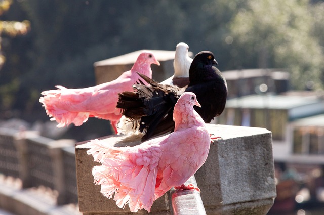 形的纽带而 形的纽带而