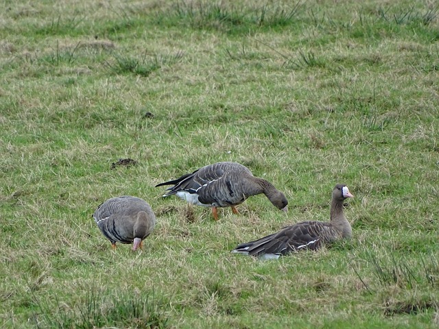 投资强度 投资强度