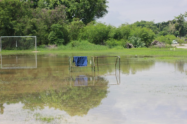 不僅擁有豐 不僅擁有豐