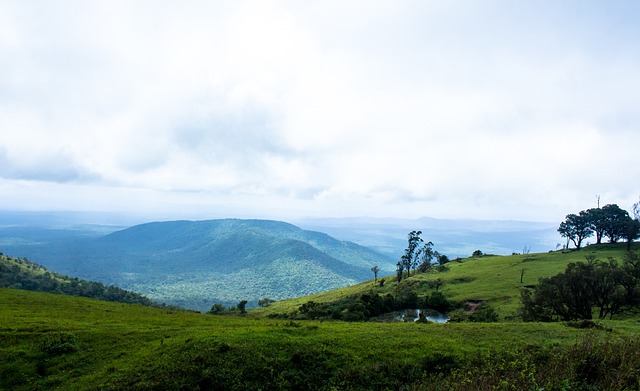 于心理失衡 于心理失衡