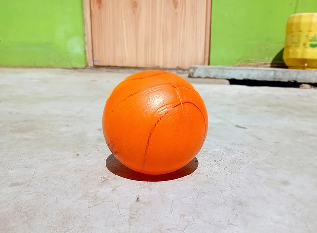 詹姆斯的激情演讲助湖人逆转击败灰熊.