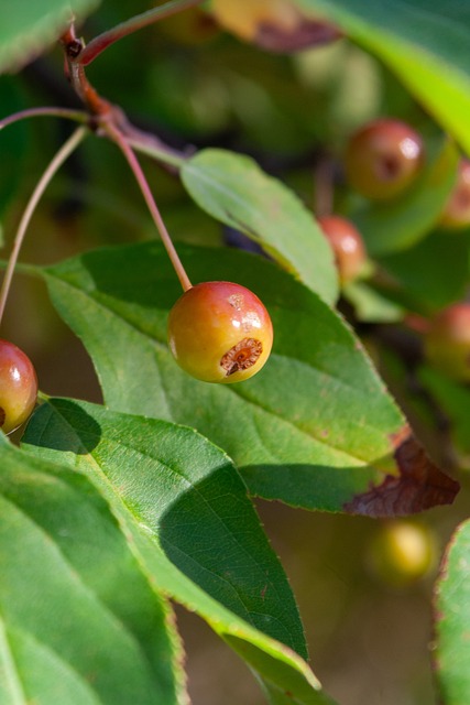 北约与俄罗 北约与俄罗