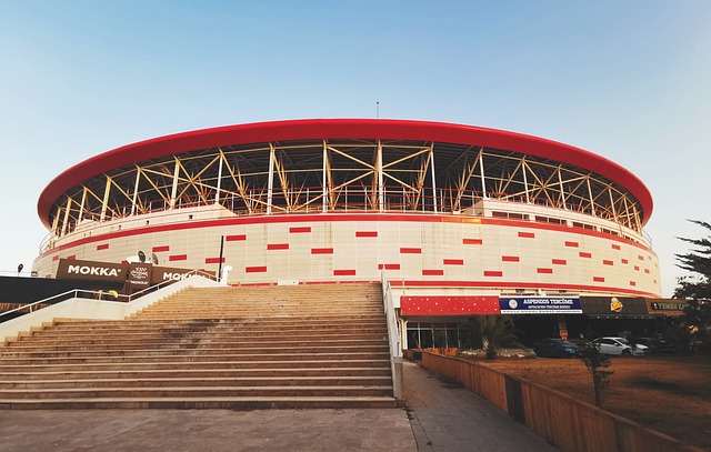 境到胜利的 境到胜利的