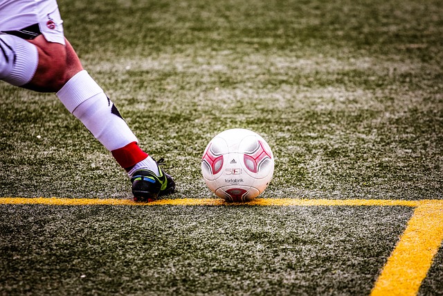 东北虎追捕母野猪，200斤公野猪冲来帮忙，斗了半小时咬断其脊柱.