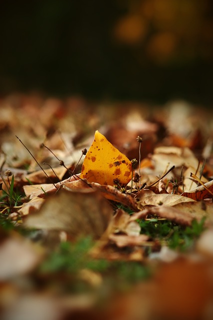 这些荣誉无 这些荣誉无